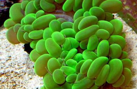 三亚康漫潜水俱乐部