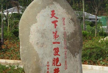 昆明双胞文化园