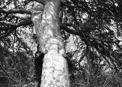 晋城苍龙峡景区