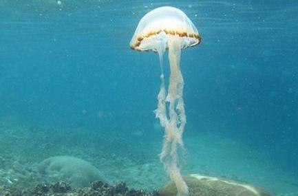 三亚亚龙湾爱琴海潜水度假村