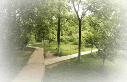 西安油料植物区