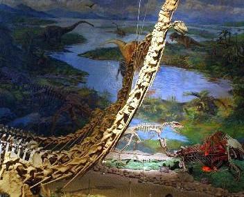 宜宾长头狭鼻翼龙头骨