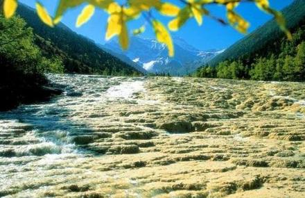 阿坝州金沙铺地