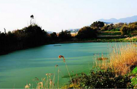 舟山十里金沙垂钓园