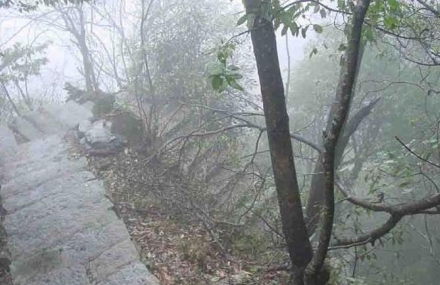 中山古鹤石板路