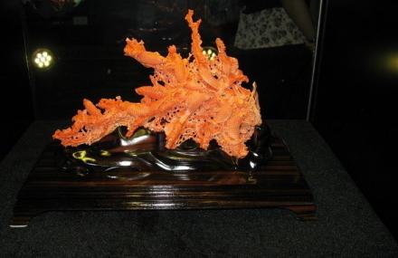 广州石头记矿物园