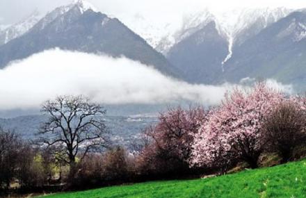 林芝易贡国家地质公园