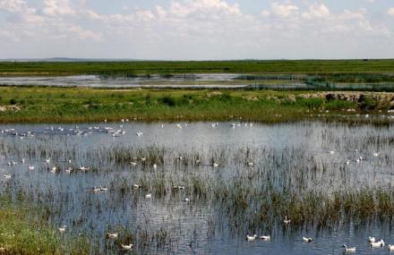 呼伦贝尔二子湖