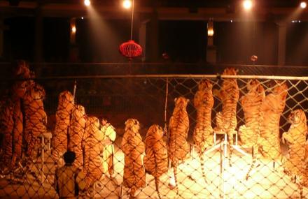 南京野生动物园