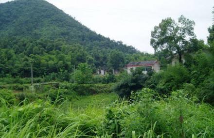 长沙农家乐青天寨