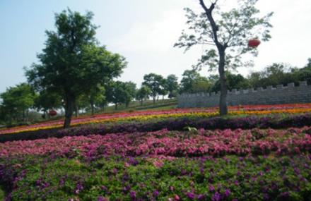 东莞松湖蝶恋生态园