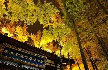 西安唐大慈恩寺遗址公园