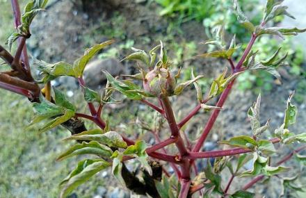 宣城宁国大裂谷