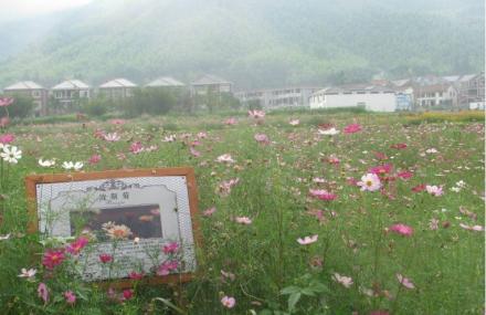 湖州安吉谈香山