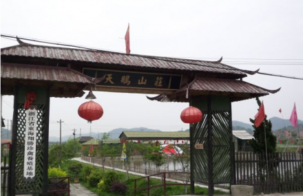 舟山天鹅山庄