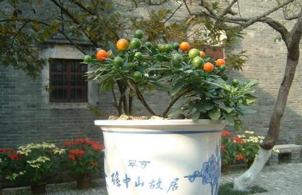 中山翠亨民居展示区