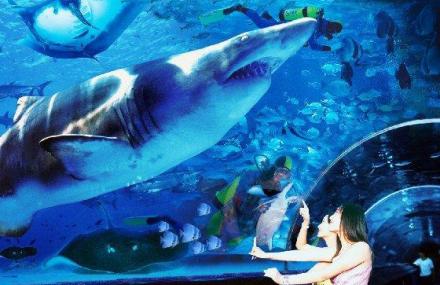 大连亚洲最长海底通道