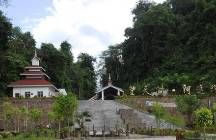 西双版纳望天树景区