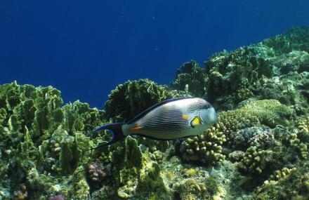 青岛淡水生物馆