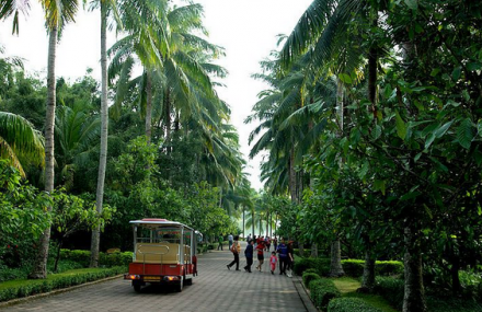 万宁兴隆热带花园热带雨林观赏区