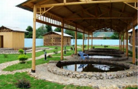 龙岩新泉小鱼温泉度假村