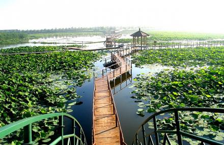 武汉异国风情园