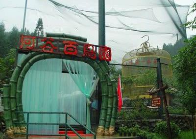 德阳河谷百鸟园