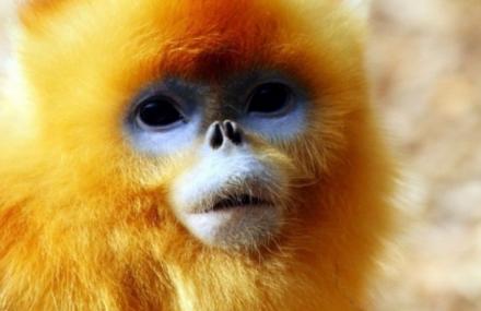 西安百花珍兽园