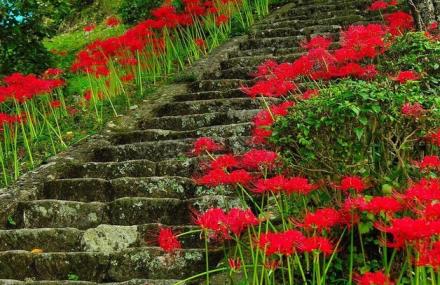湘西南华山国家森林公园