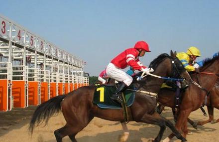 呼和浩特内蒙古赛马场