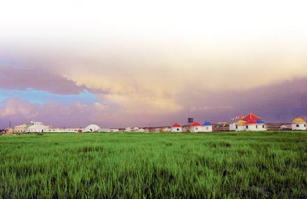 银川马兰花大草原