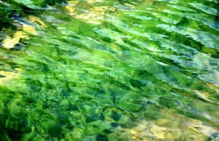 百色福禄河瀑布群