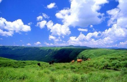 呼伦贝尔大草原
