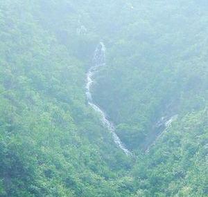 潮州叫水坑原始森林