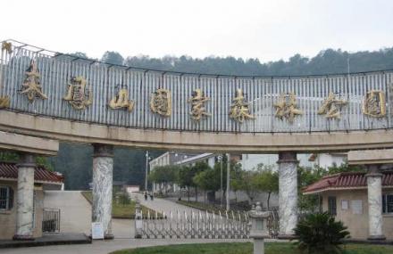 保山来凤山