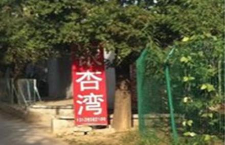 北京上庄水库银杏湾农家乐