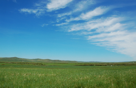呼伦贝尔草甸草原