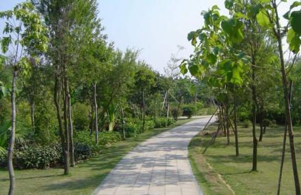 深圳海滨生态公园