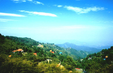 定西金家山遗址