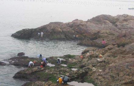 汕头南澳海岛森林公园