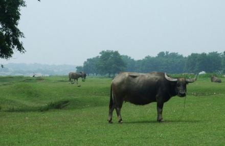 衢州浙西大草原