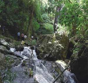 梅州丰溪森林度假区