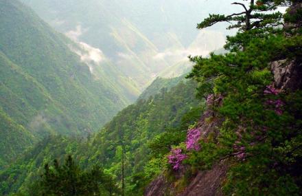 丽水凤阳山