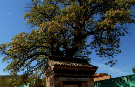 武汉刘家山民谷村