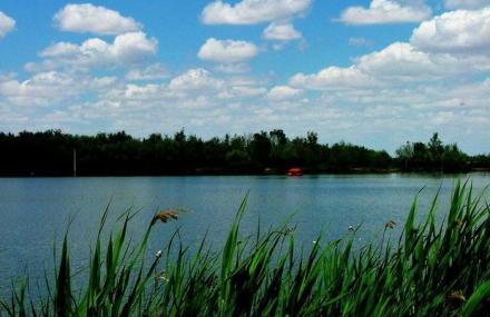 昌吉杜氏旅游渡假村