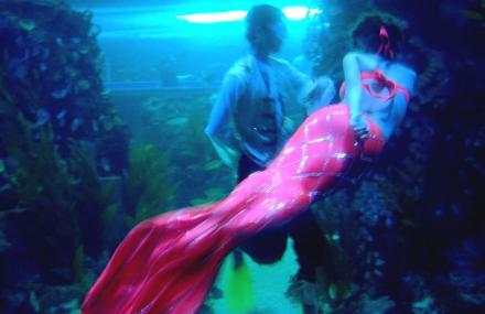 抚顺童话美人鱼