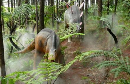 清远森波拉古道