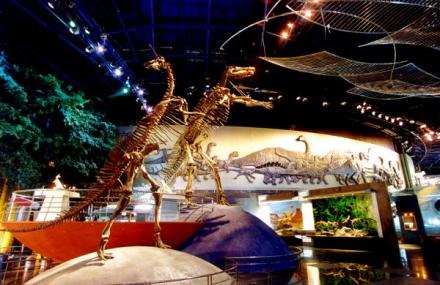 常州恐龙灭绝厅