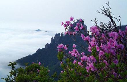 秦皇岛响山景区