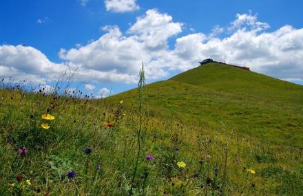 忻州南台锦绣峰